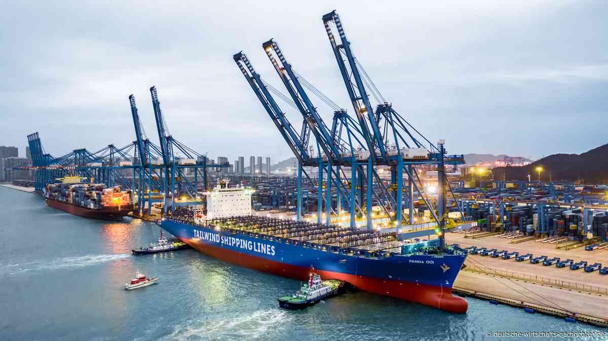 Lidl auf hoher See: Wie der Discounter zu Deutschlands zweitgrößtem Containerliner wurde