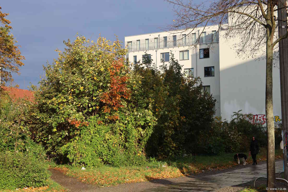 Leipzig hat keine Kompensationsflächen mehr: Stadtplanungsamt startet neue Kartierung