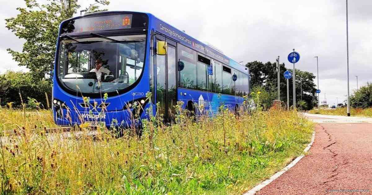 Whippet's concerns over Huntingdon bus station plans