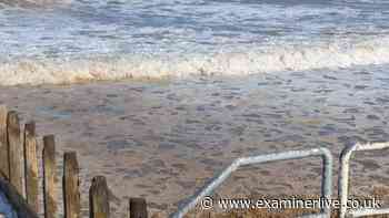 Tests carried out at Yorkshire seaside resort after murky water and bad smell concerns