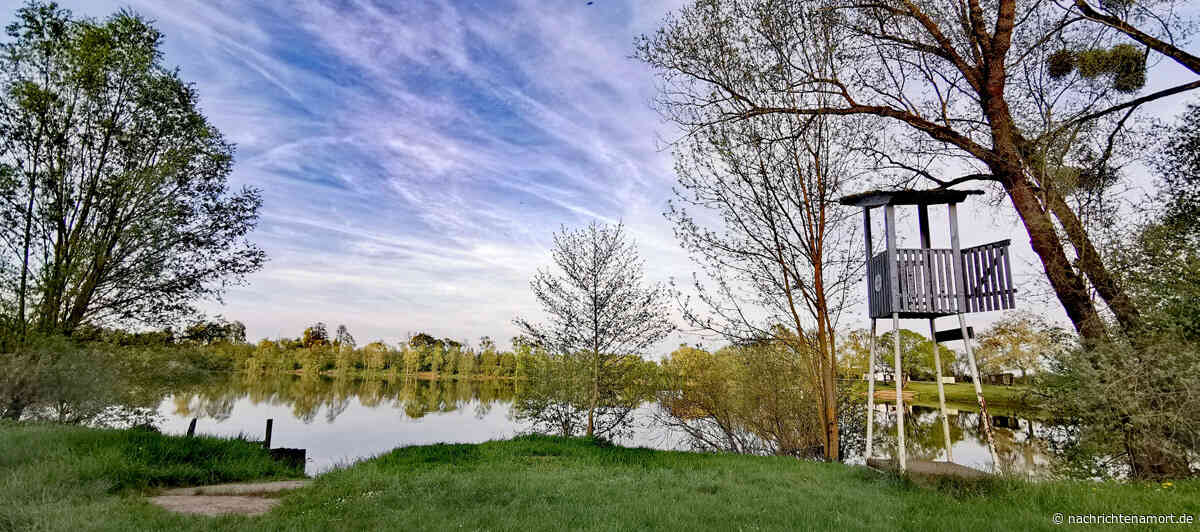 Vorsorgliches Badeverbot für den Südsee und den Brückenhaussee