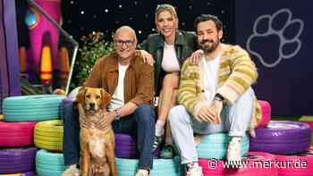 Abgesetzt trotz Top-Quoten: Dieser tierische RTL-Hit verschwindet aus dem Programm