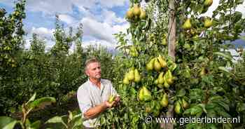 Gemalen pompen niet meer door lage waterstanden, is er nog genoeg water voor de appels en de peren?