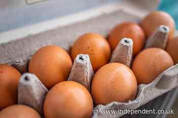 Salmonella outbreak: How can I check if my eggs are safe to eat?
