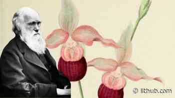 Orchids Made Charles Darwin Who He Was