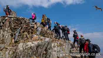Rows break out over queuing at Wales' highest mountain