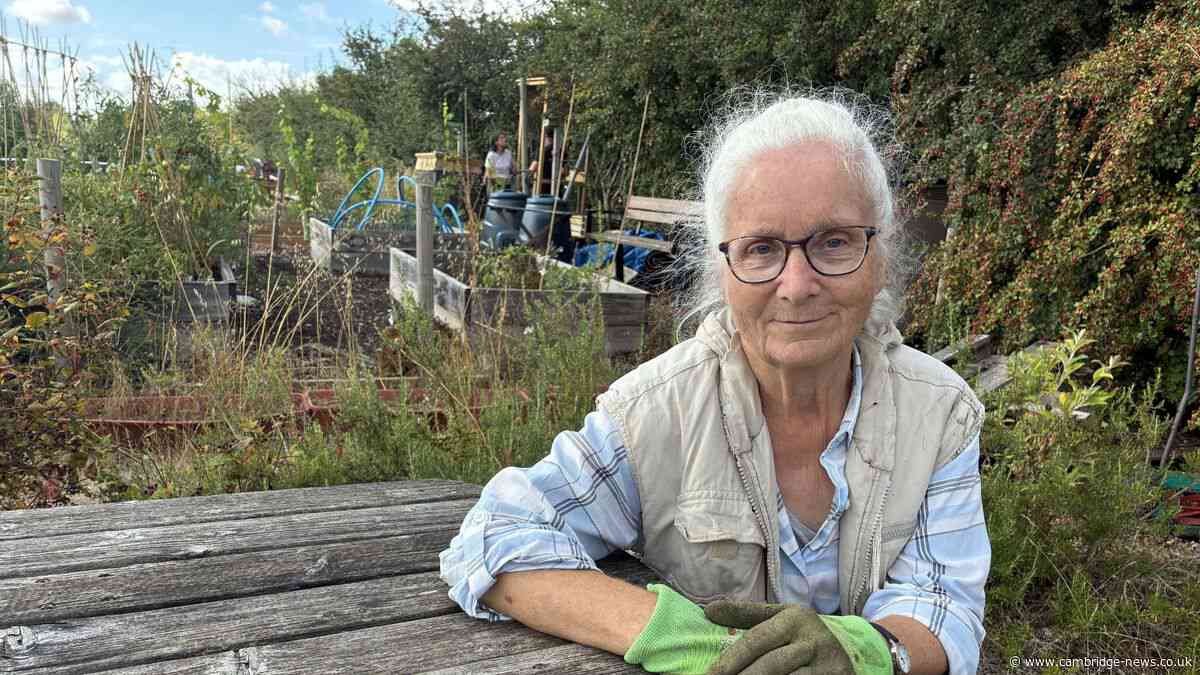 Excessive noise from new station ruining 'peace and calm' of allotments