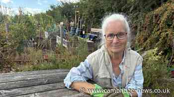 Excessive noise from new station ruining 'peace and calm' of allotments