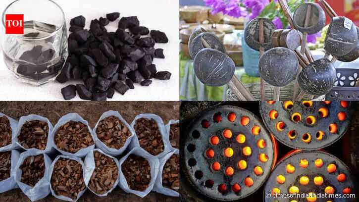 From water filters to kitchen bowls: 5 practical uses of coconut shell
