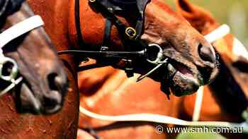 Race-by-race preview and tips for Newcastle (Beaumont) on Tuesday