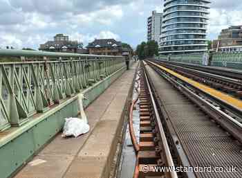 'Swan on tracks' sparks rush-hour delays as DLR line suspended