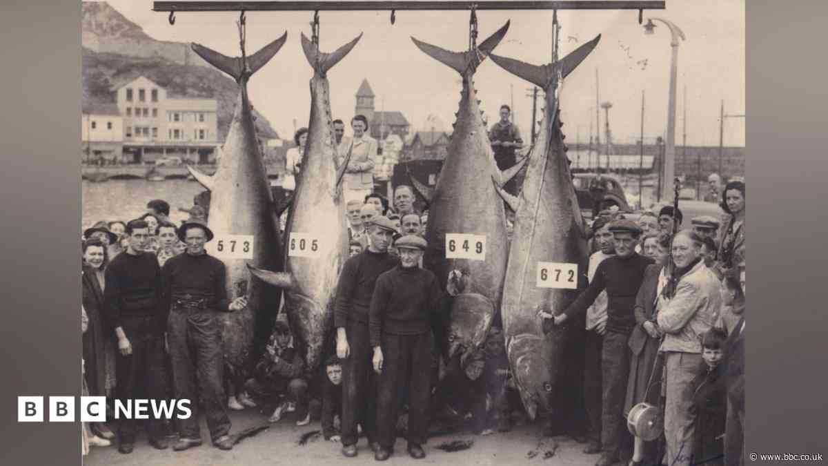 Could giant tuna fishing be set for a comeback?