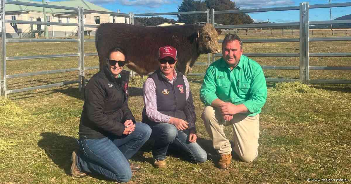 Bendoc Park smashes record as Victorian stud picks up top-priced bull