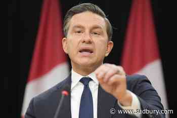 In the news: Trade war ignites, Poilievre wants Parliament recalled, businesses brace