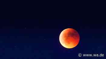 Mondfinsternis am 28. August: 93 Prozent – und trotzdem kein Blutmond am Morgenhimmel