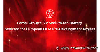 Batería de iones de sodio de 12 V de Camel Group seleccionada para el proyecto de desarrollo de OEM europeo