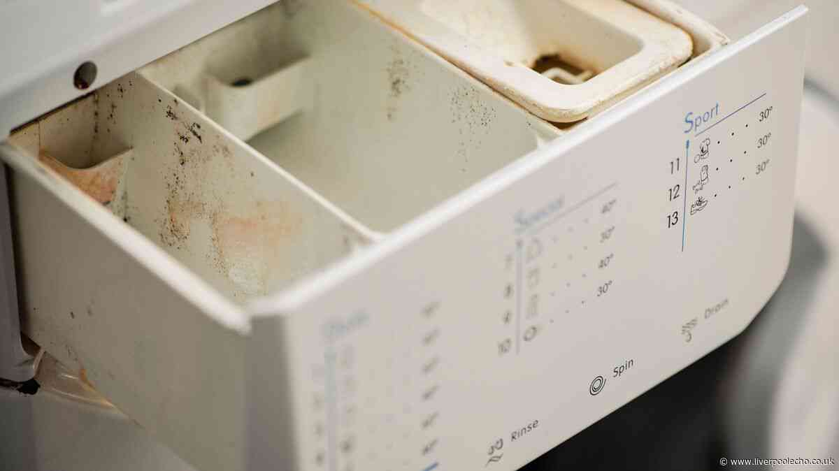 I tackled mould and bad smells in my washing machine using a £1 Home Bargains cleaner