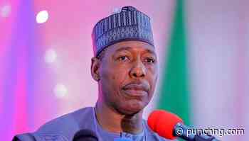 Zulum endorses Kebbi gov for second term