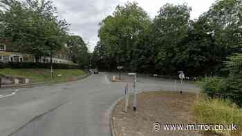 Girl, 14, ‘raped by stranger in woodland in broad daylight' as police hunt attacker