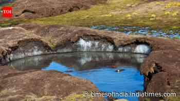 Tibetan Plateau Permafrost Study: New model finds hidden ice gains; rainfall offsets warming underground