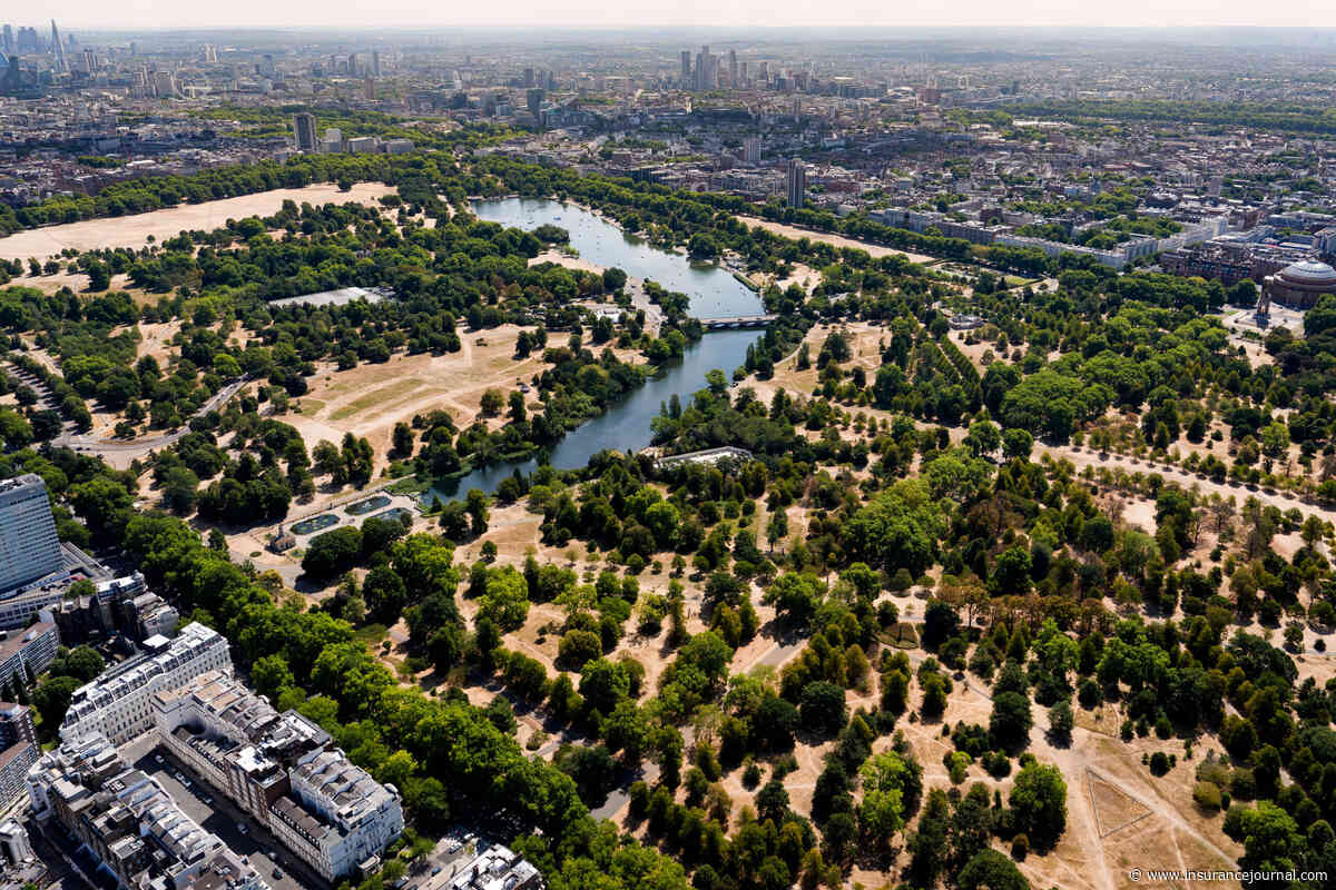 Londoners Find ‘Horrendous’ Cracks in Homes After Successive Heat Waves