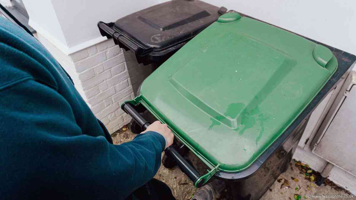 Binman warns 'you'll get maggots' if you put one ordinary item in bin