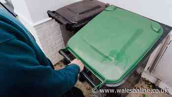 Binman warns 'you'll get maggots' if you put one ordinary item in bin