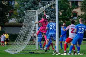 Fußball-Westsachsenliga: Die Neulinge mischen die Liga auf