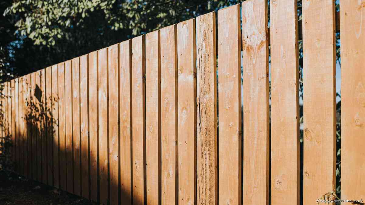 Neighbour built garden fence over my boundary and I'm livid – legal rights explained