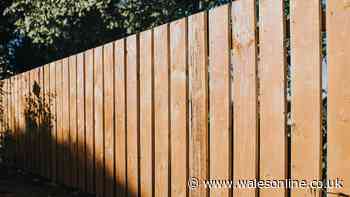 Neighbour built garden fence over my boundary and I'm livid – legal rights explained