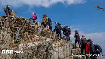 'It's not Alton Towers' - rows break out over queuing at Wales' highest mountain