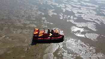 Hovercraft used to rescue five kids trapped by rising tide at Southend-on-Sea