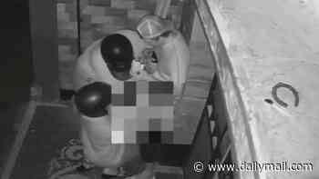 Bali rocked by wild new police sex probe as two female scooter drivers keep their crash helmets on while pleasuring tourist - just days after an Aussie was busted having sex in the street on CCTV