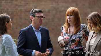 Fears over surge in 'garden grabbing' as Angela Rayner waters down rules on building new homes on existing plots