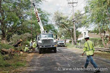 Hurricane Lala toppled hundreds of trees across the state
