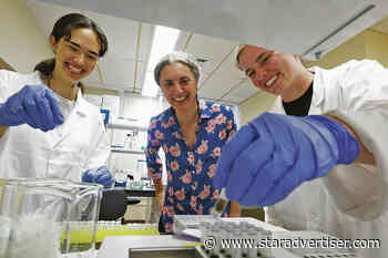 UH secures $647.3 million in extramural funding
