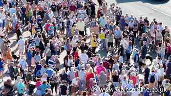 Huge Rhos-on-Sea beach protest over year-round dog ban plans