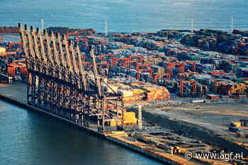 Rederijen hebben hun belangen in containerterminals in tien jaar verdubbeld