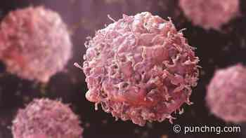 Cancer exists, keeping quiet is dangerous, Oncologist warns Nigerians