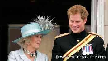 Queen Camilla's olive branch to Prince Harry at Highgrove reunion after he branded her 'the villain'