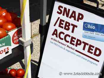 SNAP funding cuts leave Lucas County with $2.5 million gap