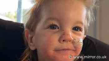 Boy who 'had the biggest smile' dies aged one after health battle