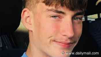 Boy acted 'devastatingly out of character' as he stepped out in front of train hours after 'happily' sipping pints with friends, coroner hears