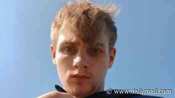 Inside story of the brazen WhatsApp group that told M9 crash teen when it was safe to go on a car robbing spree... and the infuriating reason Gardai know there is little they can do to stop them