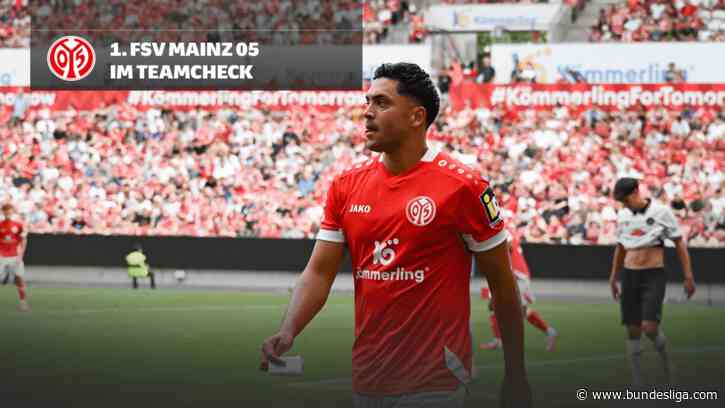 Teamcheck Mainz: Wird es eine ruhige Saison für den FSV?