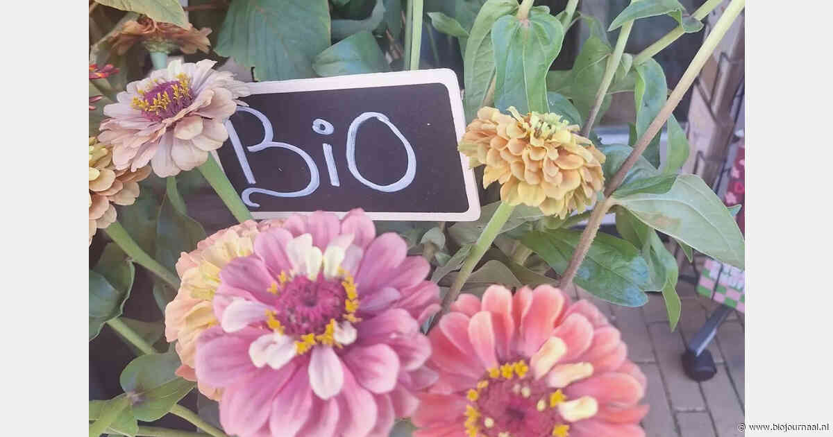 Steenwijkse boemist verkoopt biologische bloemen