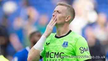 David Moyes makes Jordan Pickford admission as Everton hero responds to England critics