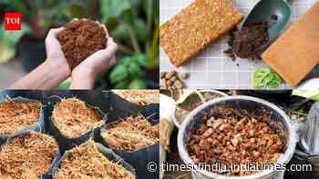 5 practical uses of cocopeat every gardener should know