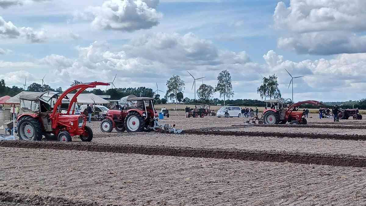 In diesem Gifhorner Dorf wird um die perfekte Furche geackert