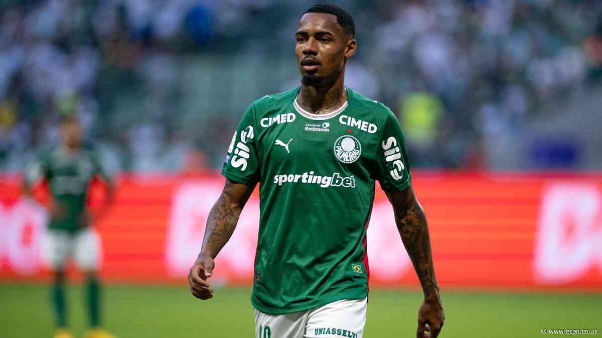 Palmeiras boss unsure of City target Allan's future